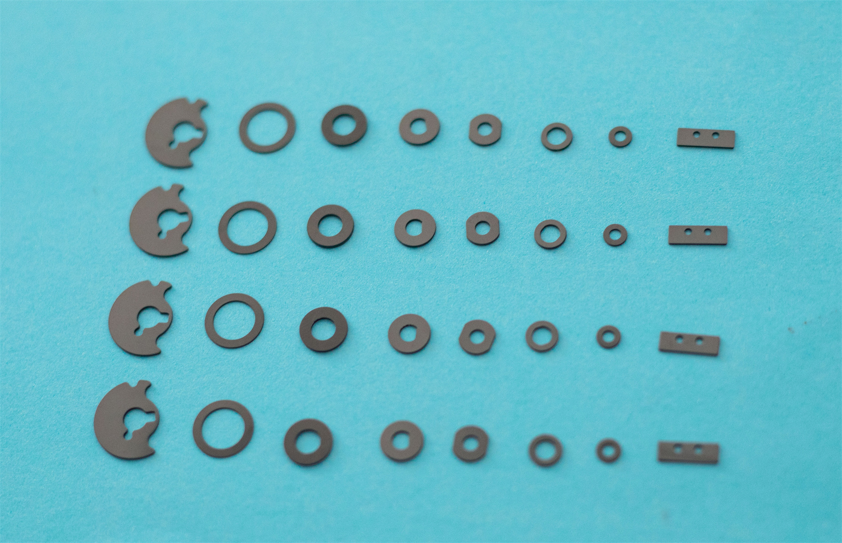 Molybdenum Disulfide Gasket Series